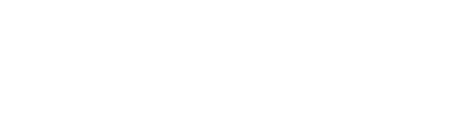 ISNetWorld logo